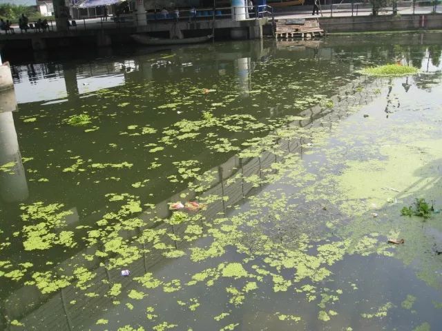 城市黑臭河道如何治理？河道黑臭水體治理思路