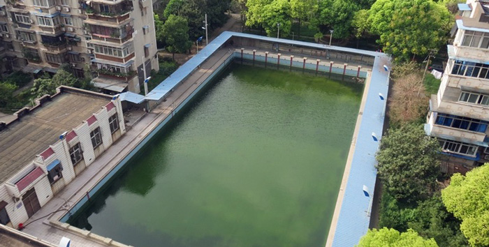 游泳池水變綠是什么原因？游泳池水處理方法