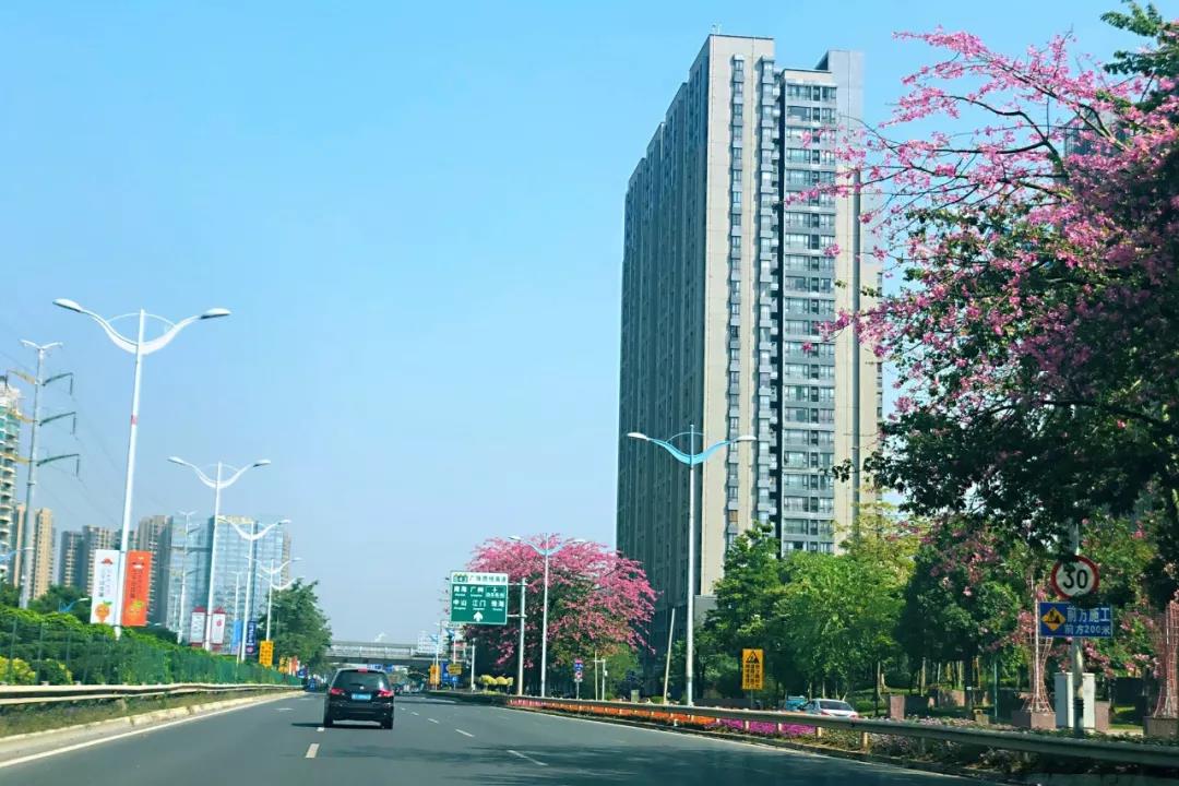 10月佛山五區(qū)32鎮(zhèn)空氣質量排名！順德“氣質”最好！