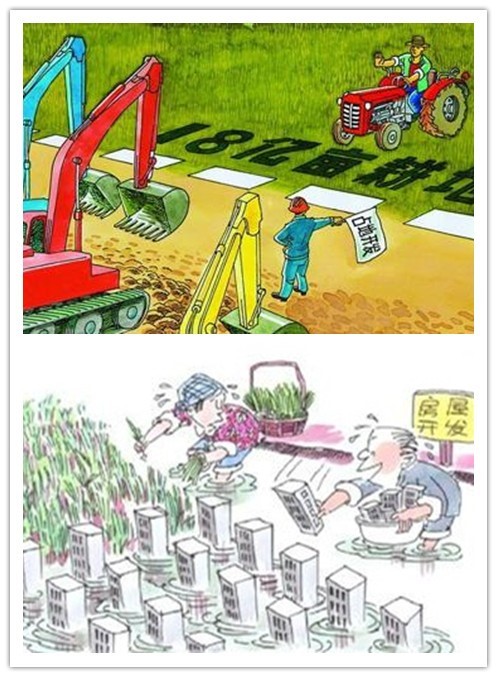 土壤侵蝕是什么？什么導(dǎo)致了土壤侵蝕？(圖3)