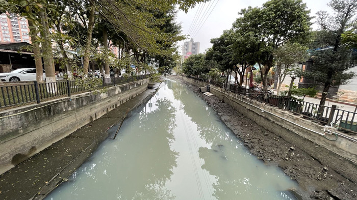 順德大良石洛涌、八坊涌整治見成效(圖3)